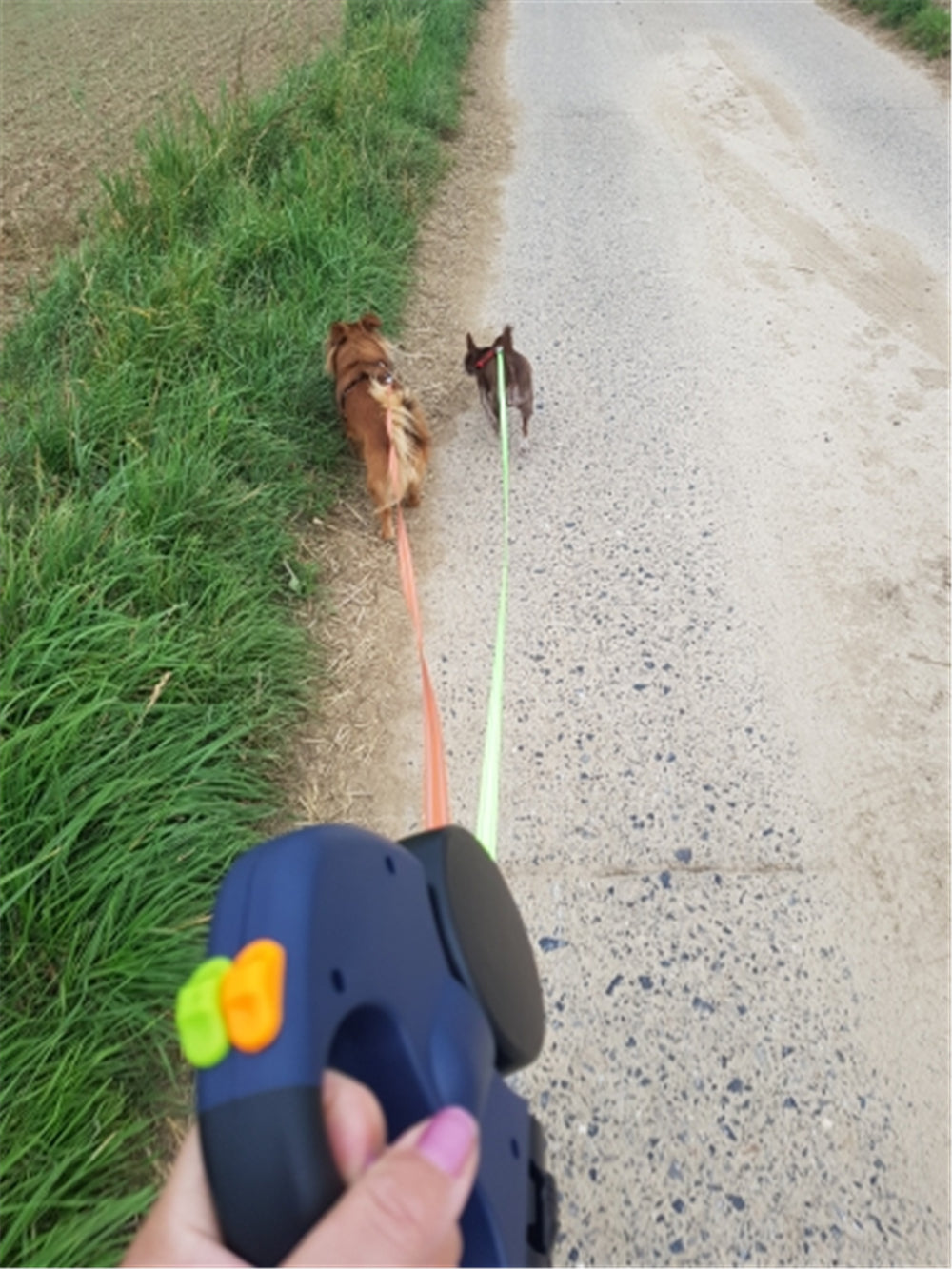 Dual Dog Leashes Rope with Light Retractable