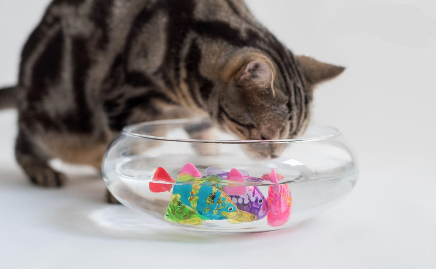 BrandyFish® Cat Interactive LED Electric Fish Toy