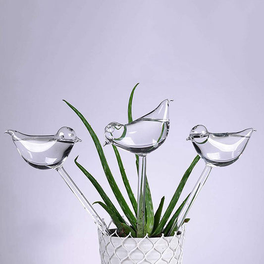 My Self Watering Bird Glass