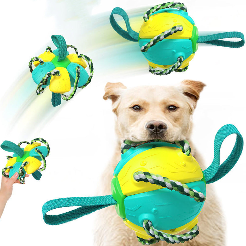 GrabBall® Dog Durable Play Ball