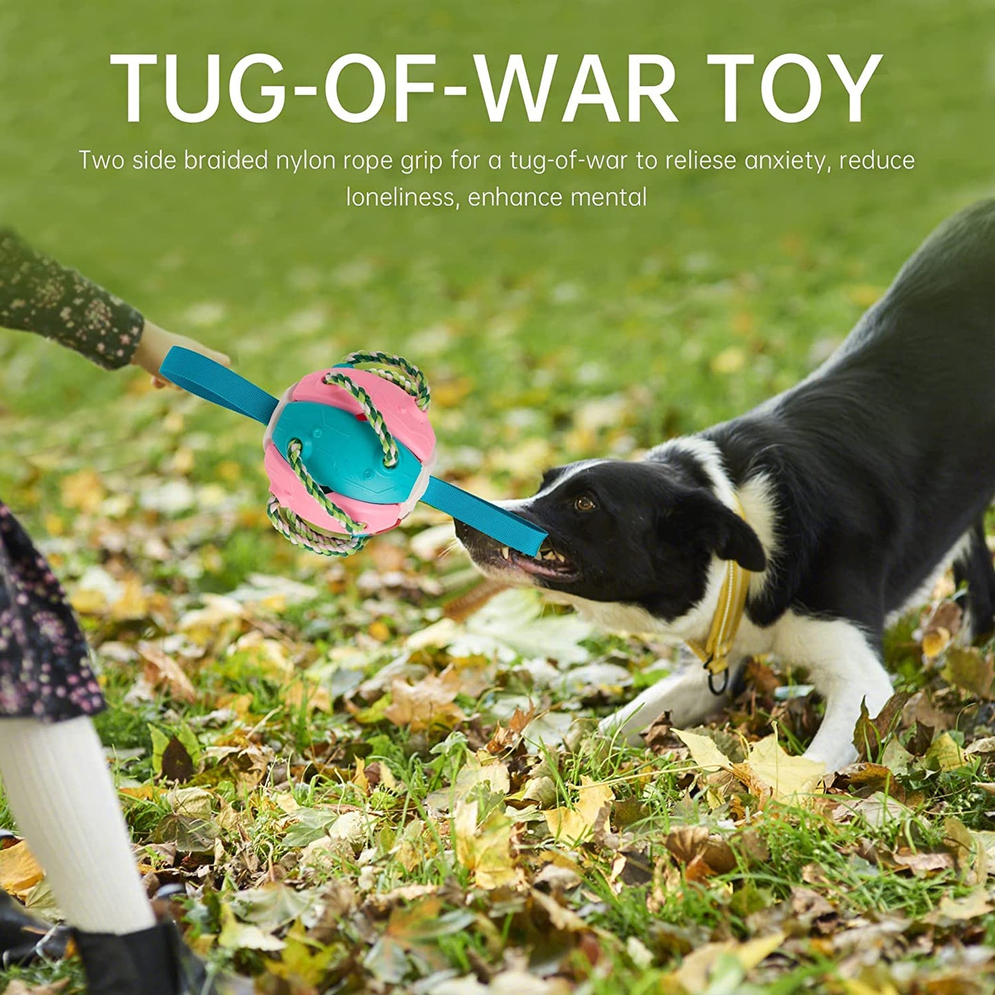 GrabBall® Dog Durable Play Ball