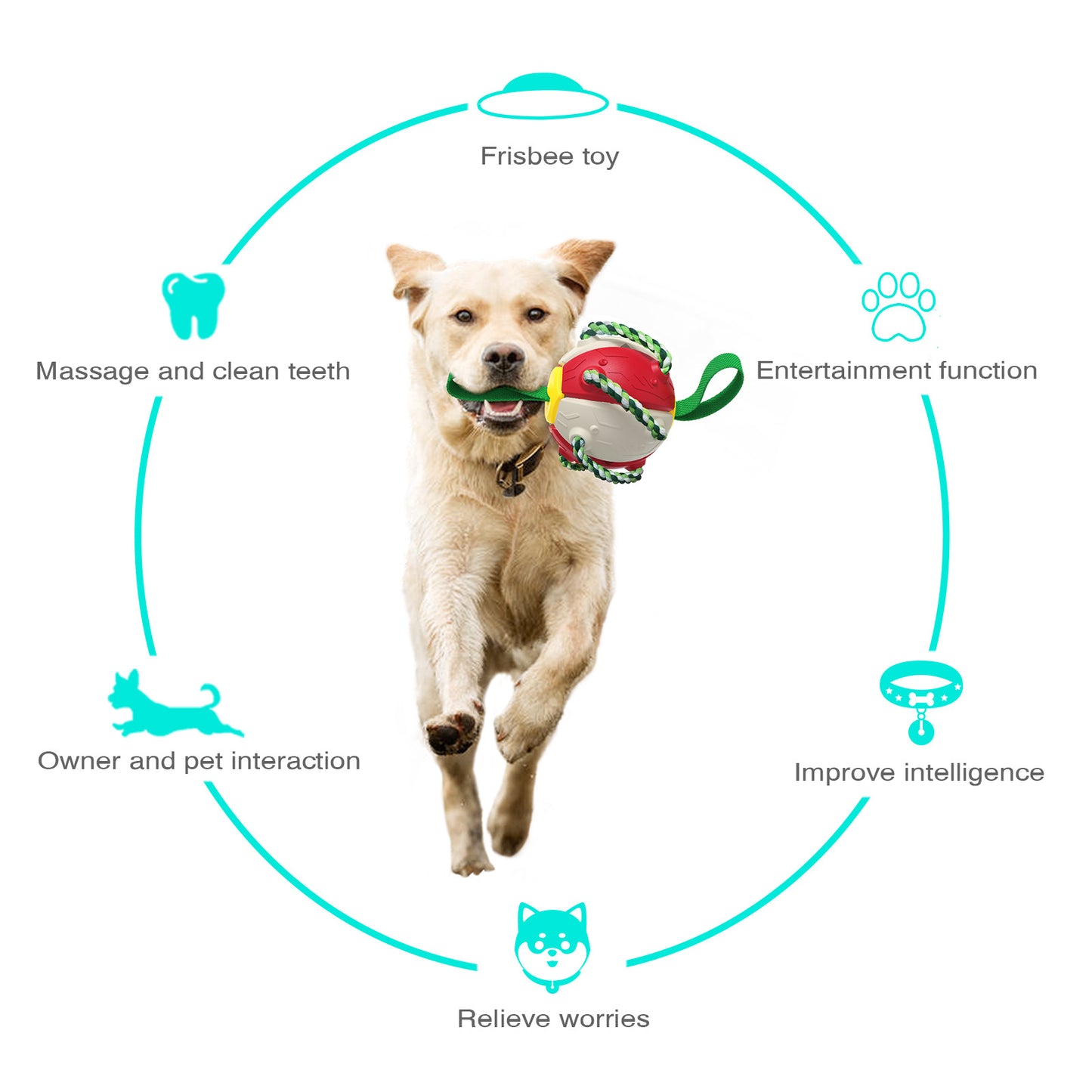 GrabBall® Dog Durable Play Ball