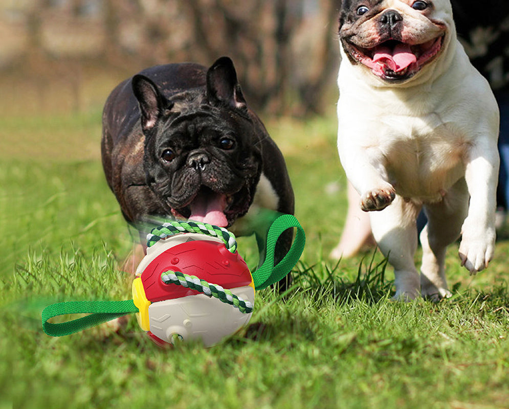 GrabBall® Dog Durable Play Ball